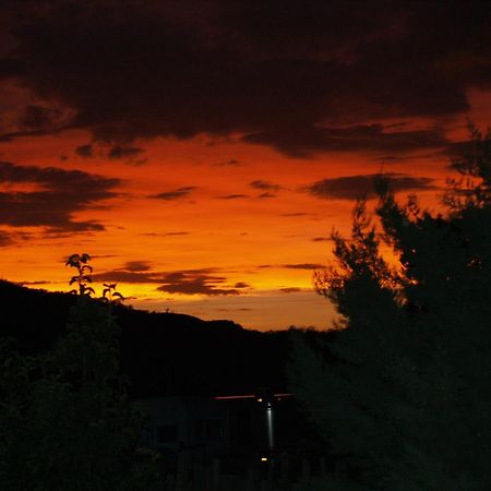 Spirit Tree Inn B&B Patagonia Bagian luar foto