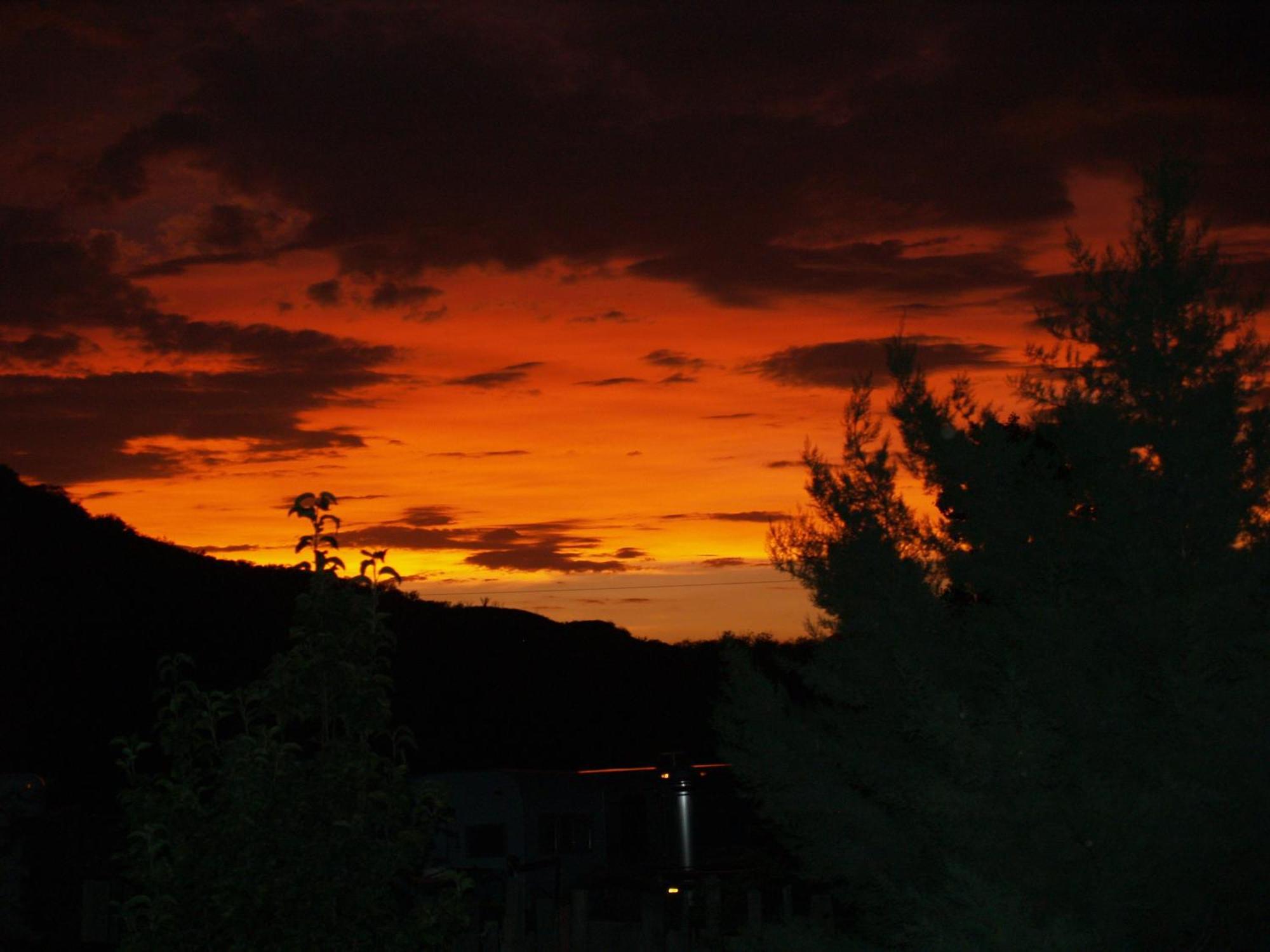 Spirit Tree Inn B&B Patagonia Bagian luar foto