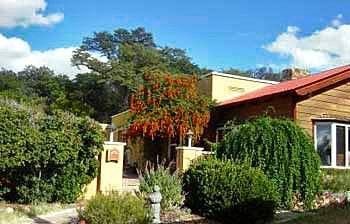 Spirit Tree Inn B&B Patagonia Bagian luar foto