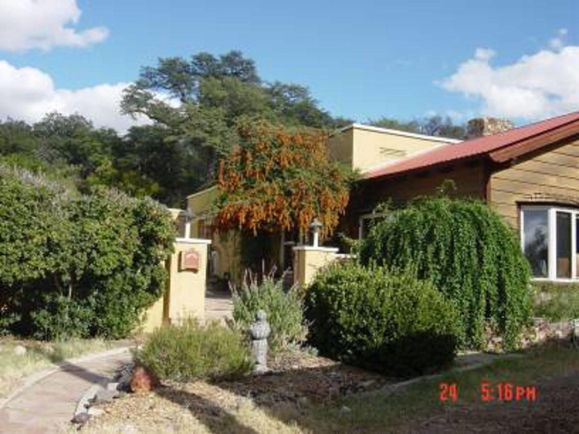 Spirit Tree Inn B&B Patagonia Bagian luar foto