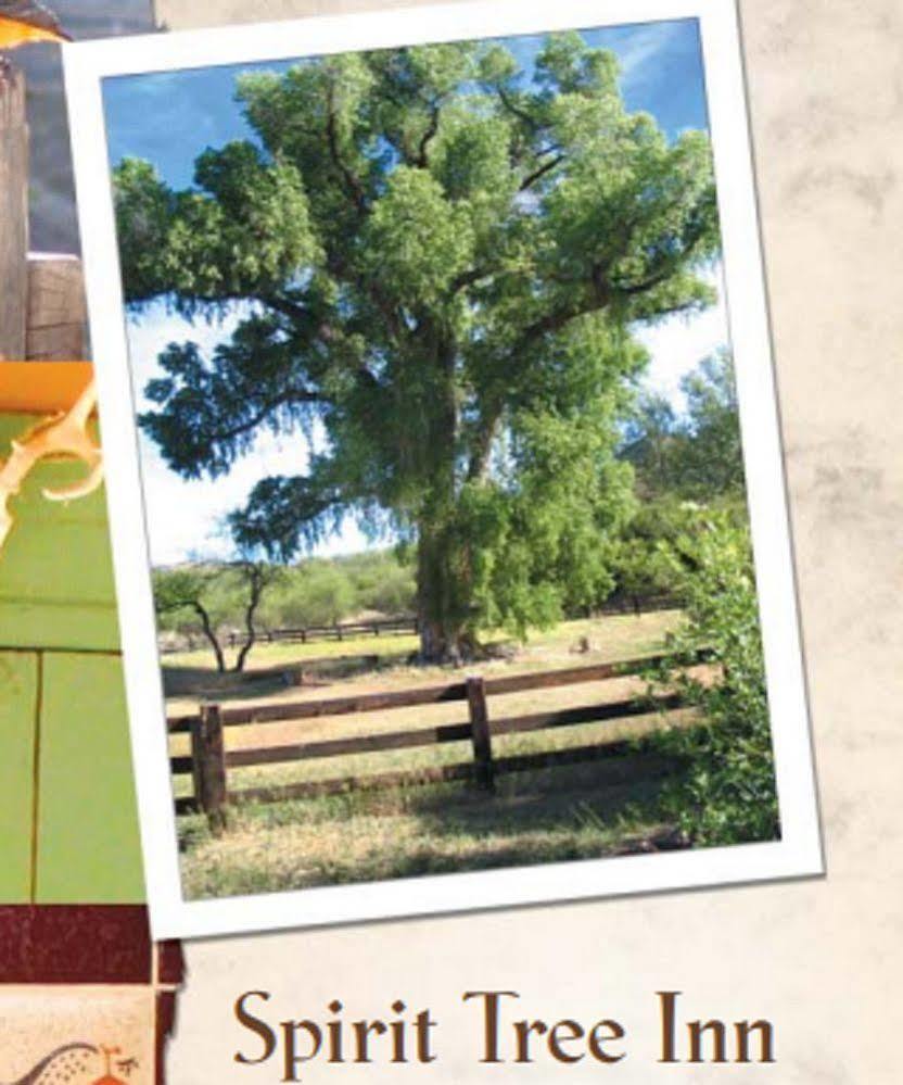 Spirit Tree Inn B&B Patagonia Bagian luar foto
